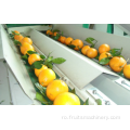 Mașină electronică de sortare a mașinii de clasificare a fructelor